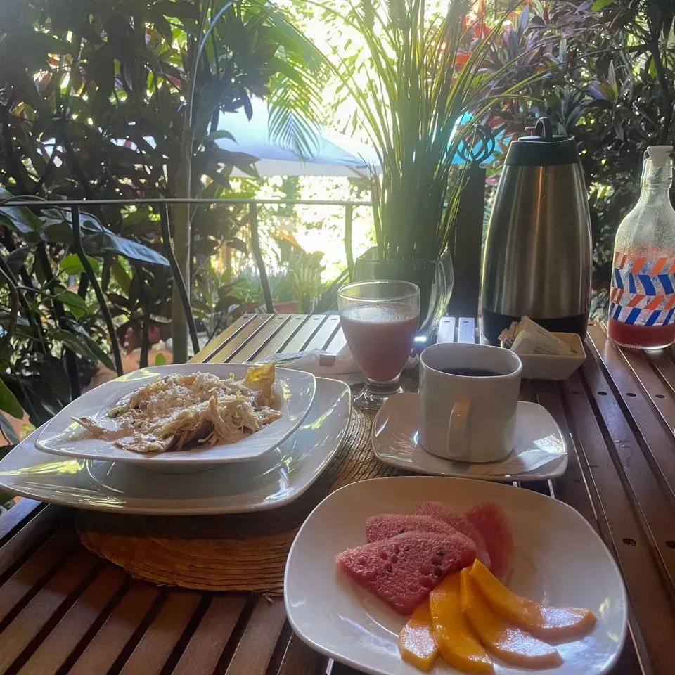 Desayuno servido en la terraza: pollo deshebrado, pan, fruta con mango, licuado rosa y café, frente al jardín