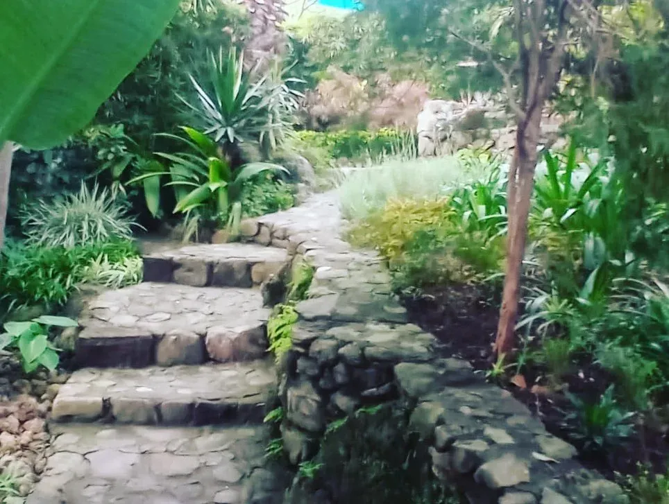 Escalones y sendero de piedra volcánica que suben entre agaves, helechos y plantas del jardín