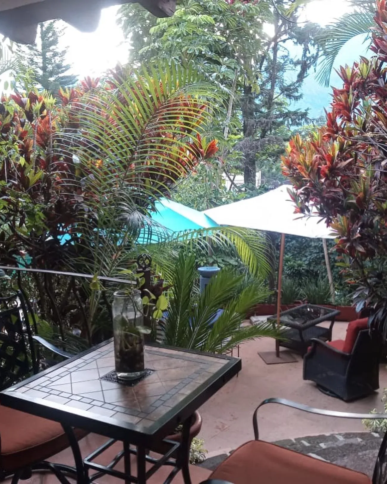 Terraza cubierta entre crotos y palmas, con mesa de mosaico, sillones de exterior y una sombrilla blanca frente al valle